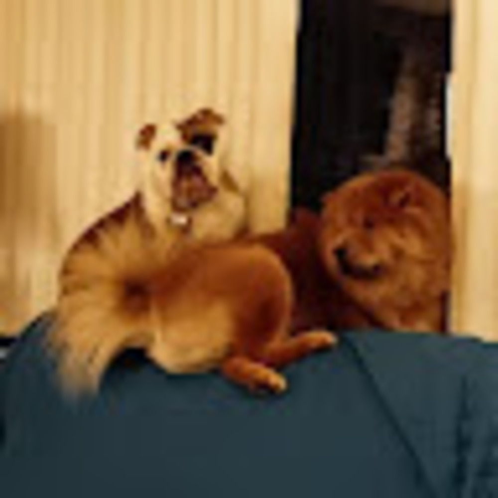 Meet your Posher, Christie & rick